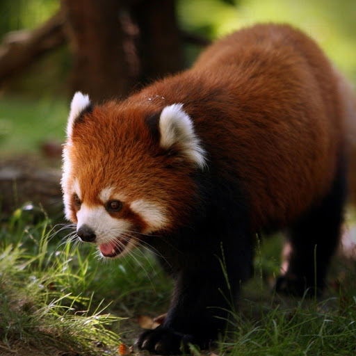 Hd-170408-ascw170408