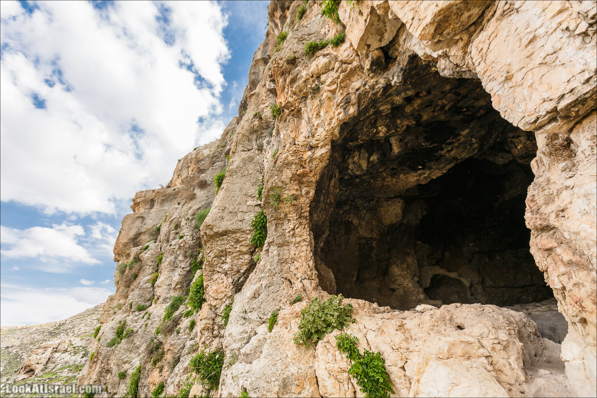 LookAtIsrael.com - Ущелья Харитона и Суккийская лавра в ущелье Ткоа | Wadi Tekoa and Hariton Cave | נחל תקוע מערת חריטון