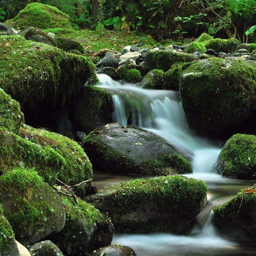 Hd-141199-ascw141199