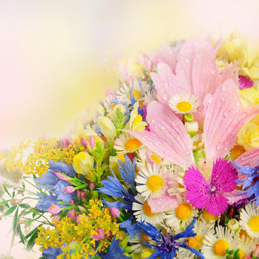 Hd-166744-ascw166744