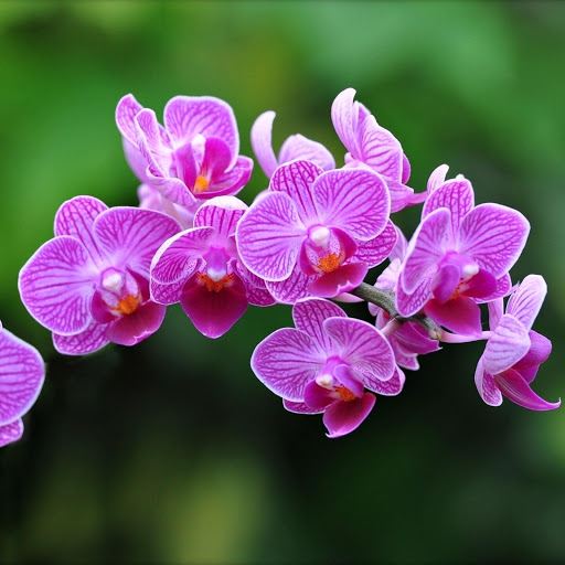 Hd-164526-ascw164526