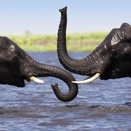 Hd-144136-ascw144136