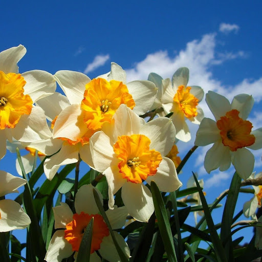 Hd-143622-ascw143622