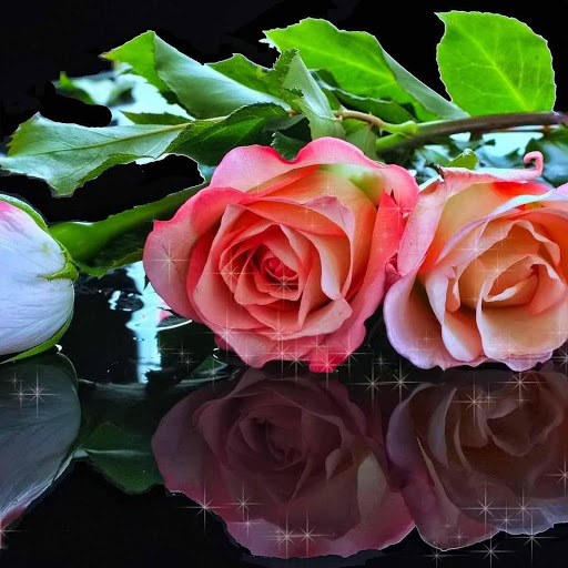 Hd-144917-ascw144917