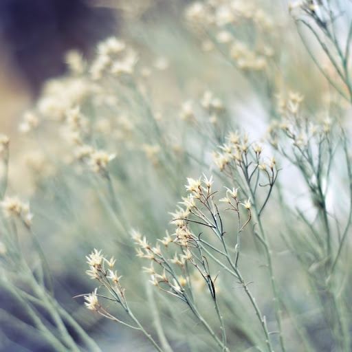 Hd-140054-ascw140054