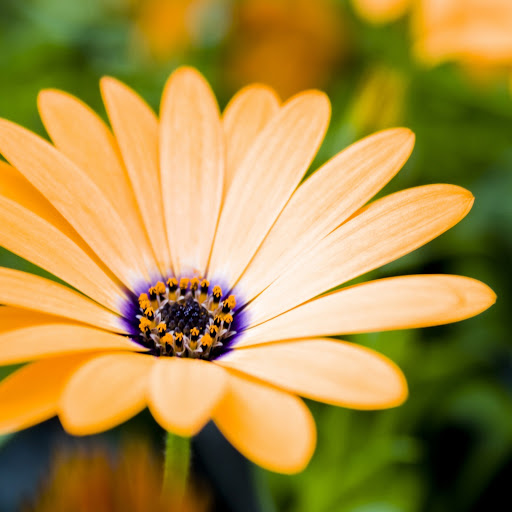 Hd-162702-ascw162702