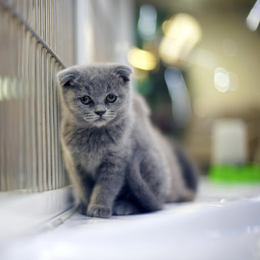 Hd-168947-ascw168947