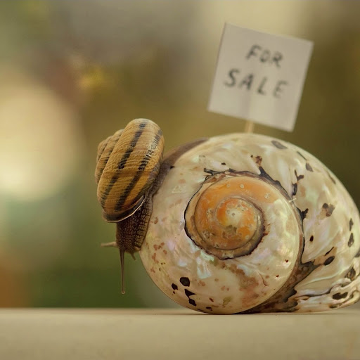 Hd-141365-ascw141365