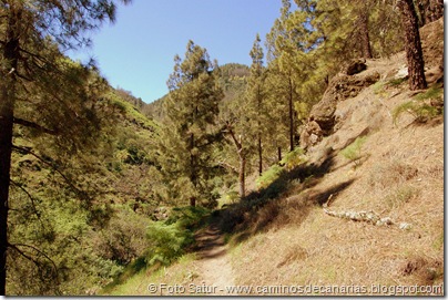 5605 Barranco de Crespo 5605 Barranco de Crespo