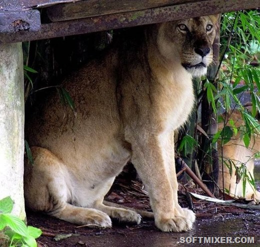 [clip_image010%255B2%255D.jpg]