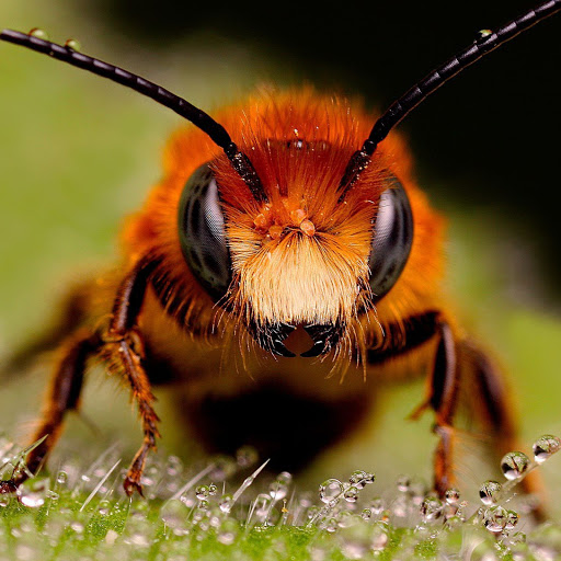 Hd-138909-ascw138909