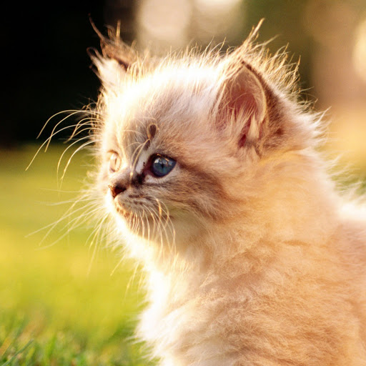 Hd-144442-ascw144442