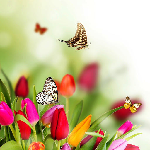 Hd-145933-ascw145933