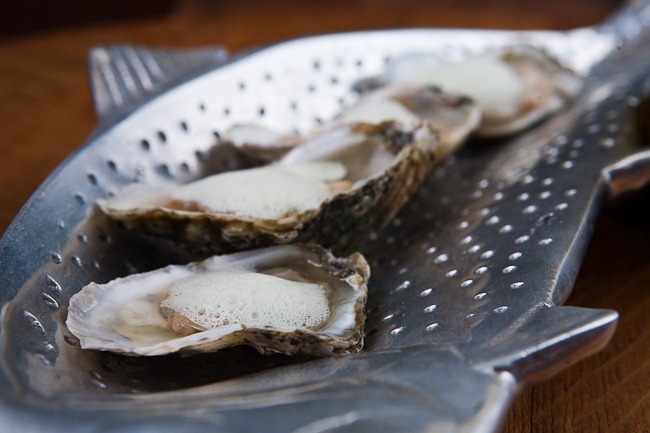 Oysters with Celery Foam