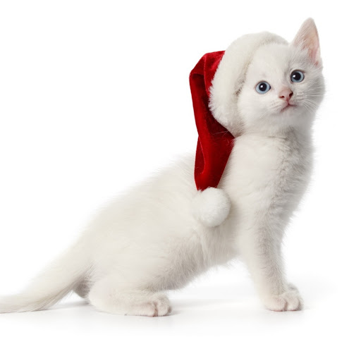 Hd-172767-ascw172767