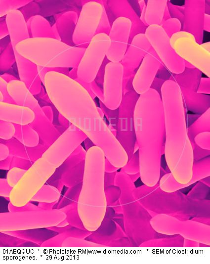 what does botulism look like