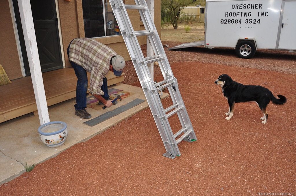 [DSC_0034%255B3%255D.jpg]