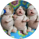 Image Google de Marie Joly