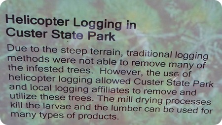 logging info