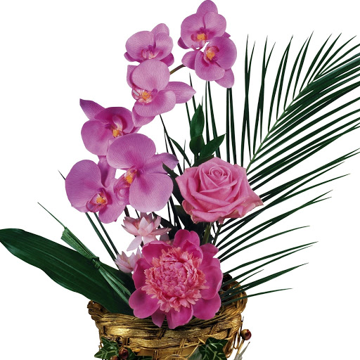 Hd-172093-ascw172093