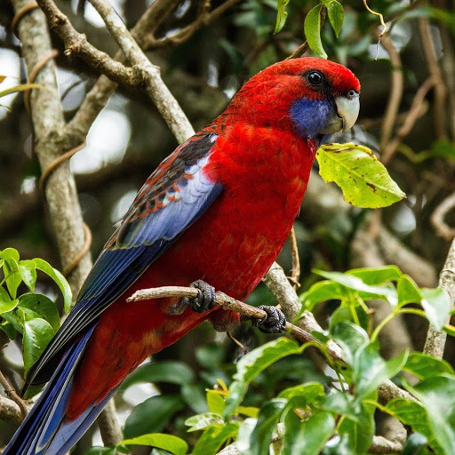 Hd-177831-ascw177831