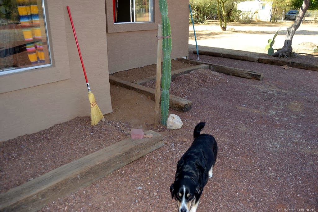 [DSC_0012%255B3%255D.jpg]