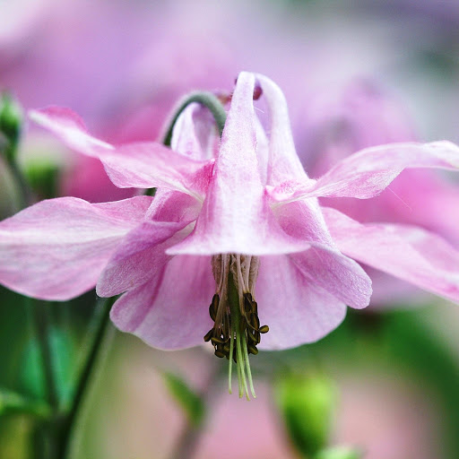 Hd-171663-ascw171663