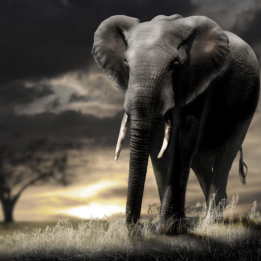 Hd-162589-ascw162589