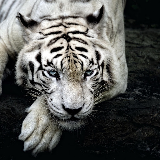 Hd-134694-ascw134694