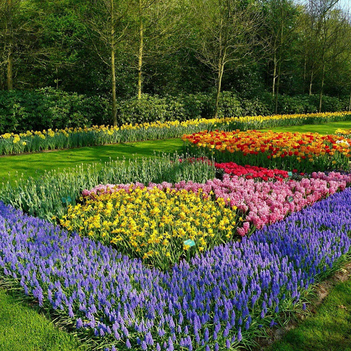 Hd-133175-ascw133175