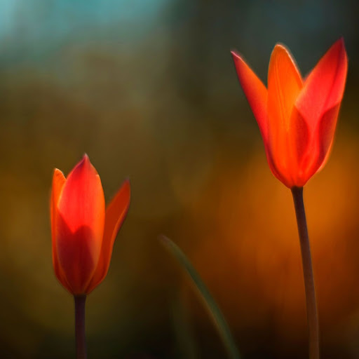 Hd-143745-ascw143745