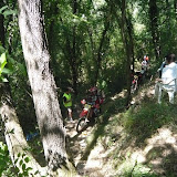 Pogli - By Alessandro Bottani