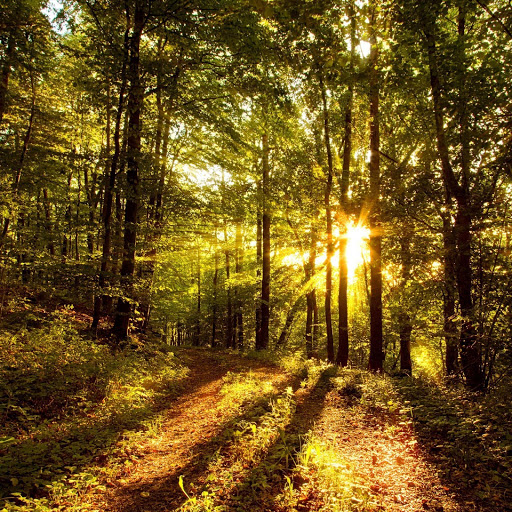 Hd-156207-ascw156207