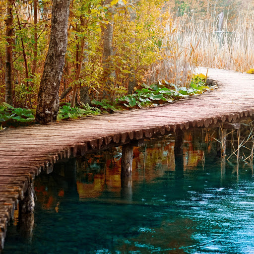 Hd-174950-ascw174950