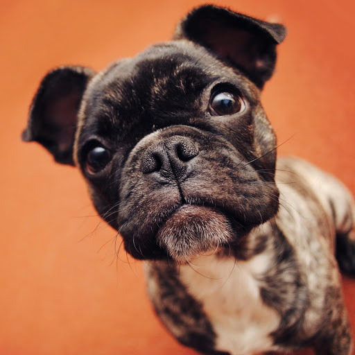 Hd-134663-ascw134663