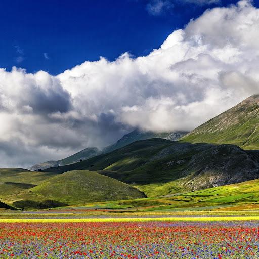 Hd-149130-ascw149130