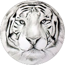 Image Google de Benjamin Lecomte