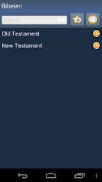 Norwegian Holy Bible poster 1