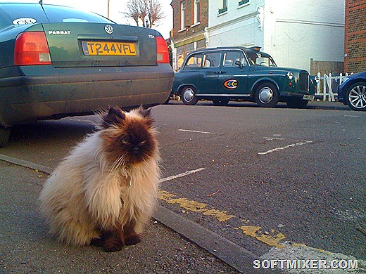 [3655ea%255B11%255D.jpg]