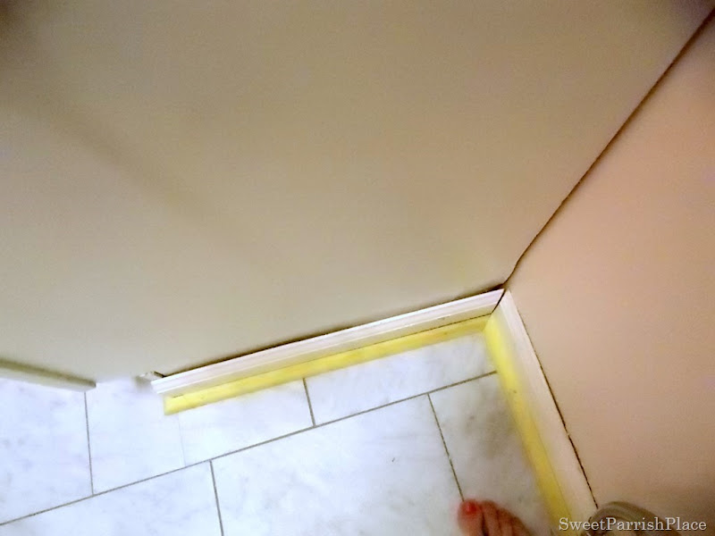 DSCN5456