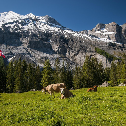 Hd-144270-ascw144270