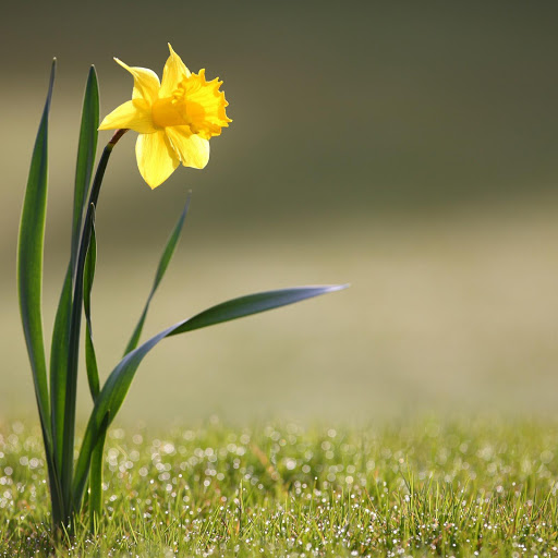 Hd-146557-ascw146557