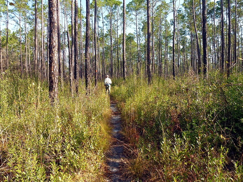 [Florida-Trail-Hike-24.jpg]