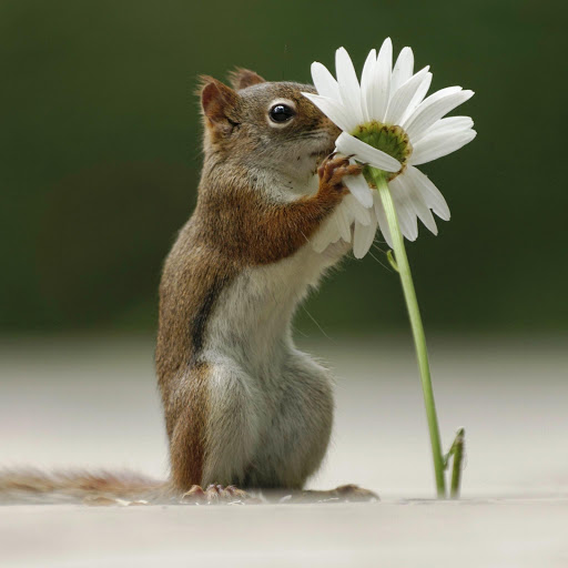 Hd-147444-ascw147444