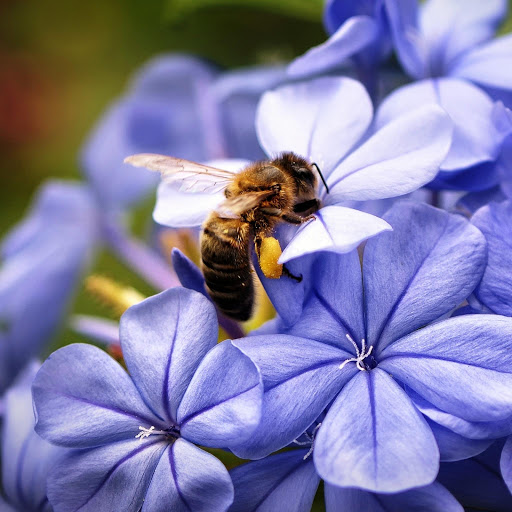 Hd-142716-ascw142716