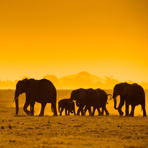 Hd-134619-ascw134619