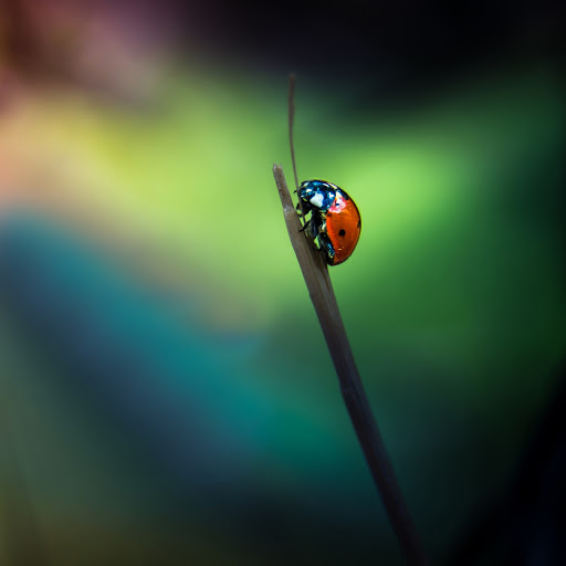 Hd-162367-ascw162367