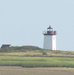 Provincetown Lighthouse taken across the marsh2