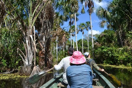  Prin jungla amazoniana din Peru