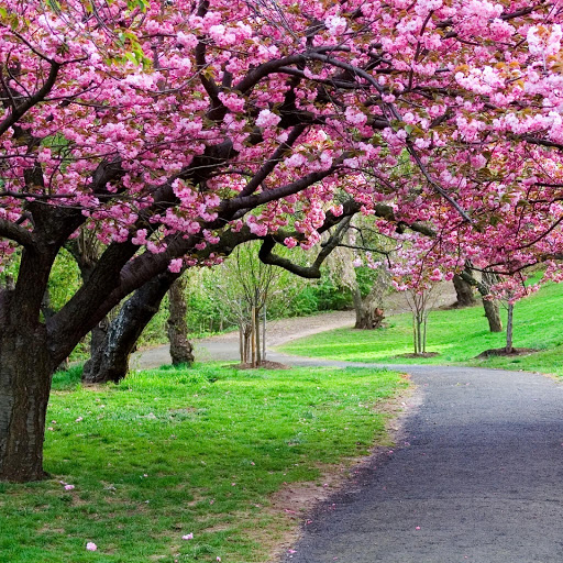 Hd-146463-ascw146463